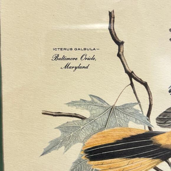 Vintage Arthur Singer framed art print #8 illustration Chikadee birds & flowers - Picture 7 of 10